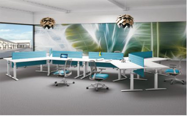 <b>2021���¿��k���Ҿ�</b>